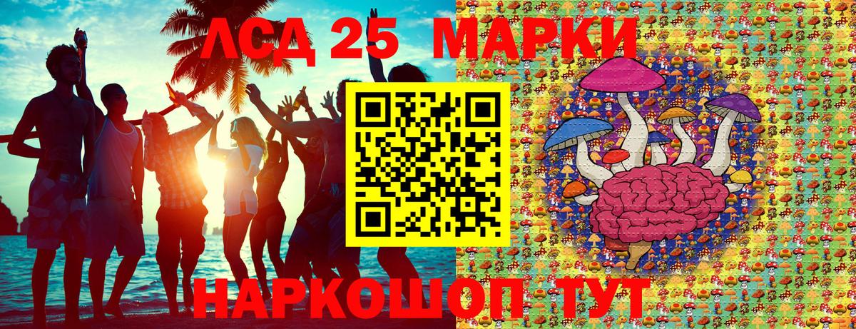 Курчалой  продажа наркотиков  Вход с VPN  Марки N-bome 1,5мг  Марки N-bome 1,5мг 